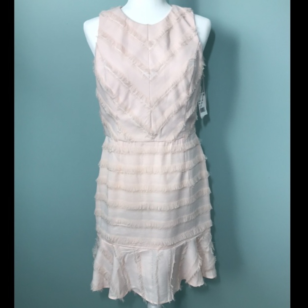 Light pink fit and flare dress